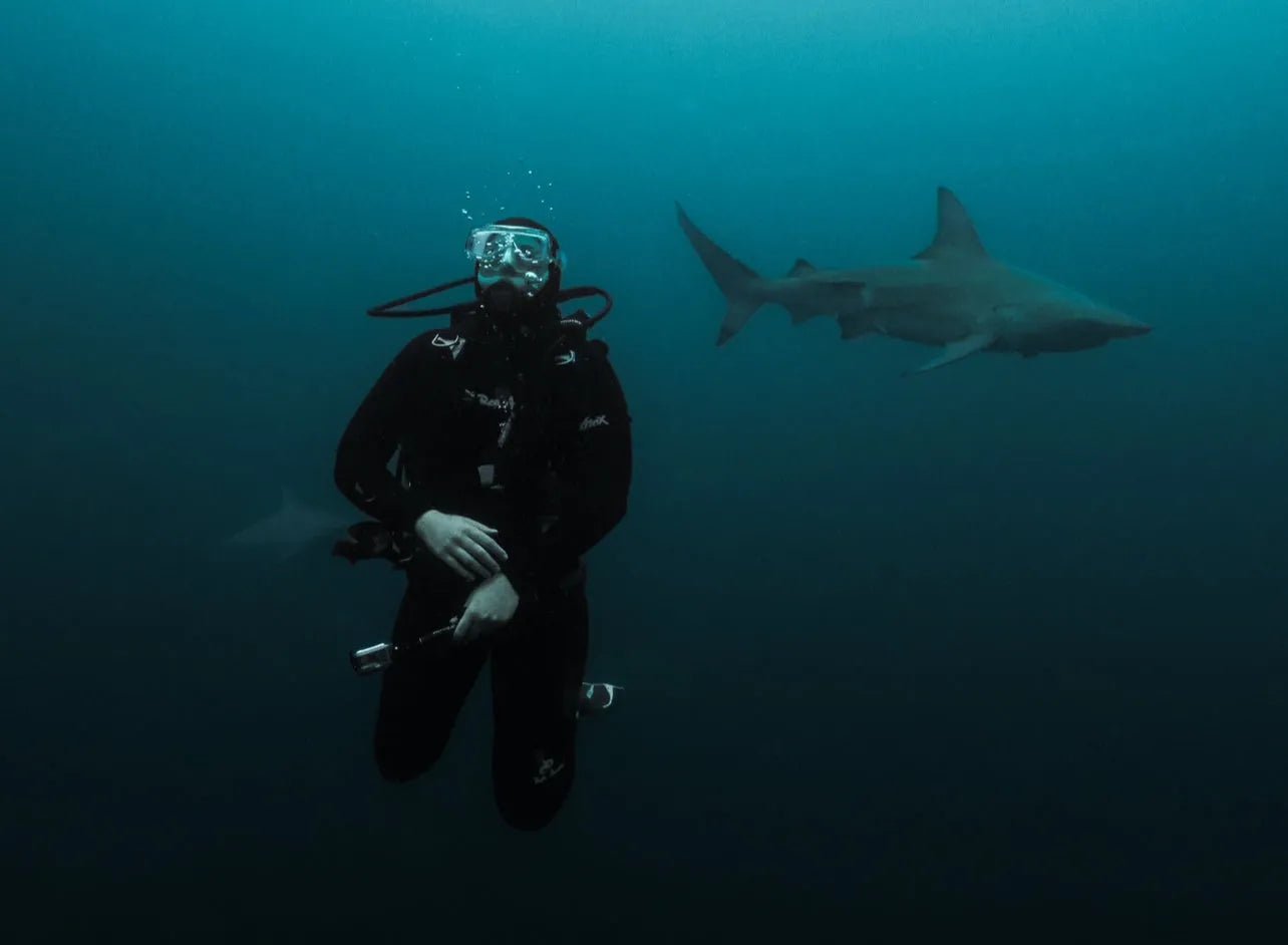 Understanding Apex Predators: The Life of a Shark Researcher - SEASHELL®