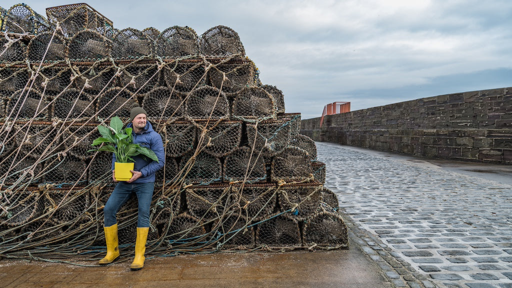 man with net and flower pot